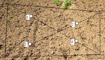 松鳞盖土， 酸碱平衡两不误