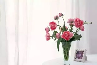 1. 空气循环花架