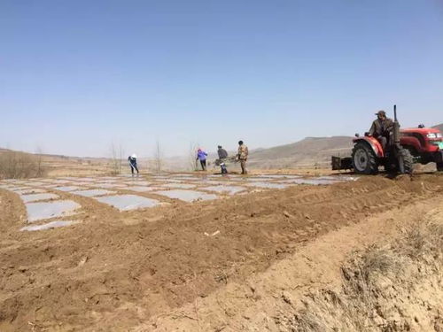 暴雨冲走泥土，土地如何稳稳扎根？