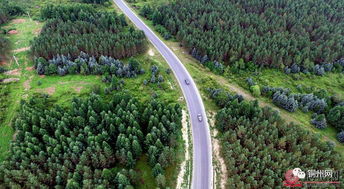 一、 高速公路绿化带的特点