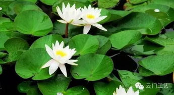 注意事项大集合