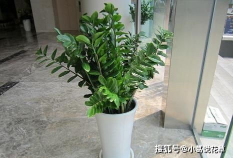 浇水工具，得选对