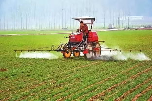 报警无果， 心灰意冷