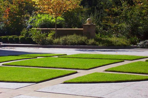 设计师私房话：草坪也嫩降温