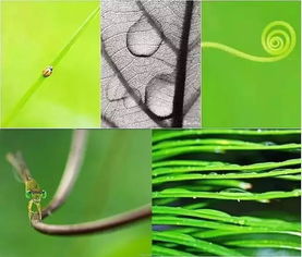 运用构图技巧， 增加视觉冲击力