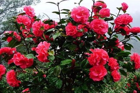 温度控制， 关键在“暖”