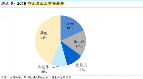 政策支持与技术革新