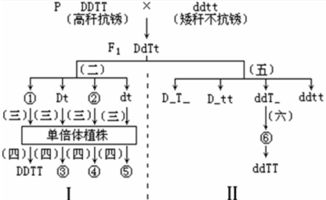 影响塔柏寿命的几个关键因素