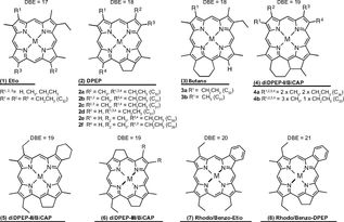 光合细菌：隐藏在生态系统中的神秘力量