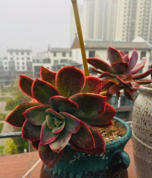 连续阴雨天怎么办