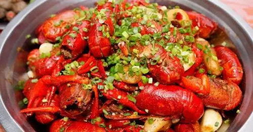 虾品种大揭秘：高清图片与名称一览