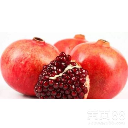 石榴苗培育全攻略：栽培技术与高效管理指南