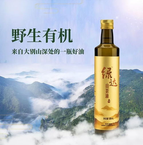 山茶油神奇功效：揭秘能否缓解便秘之谜