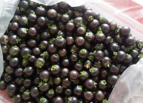 杭州某中医馆的独家秘方