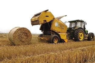 天津实施秸秆禁烧政策，提升花卉种植者补贴力度