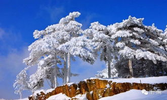 科技与自然的完美融合