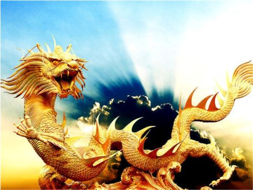 喷火龙如何精准砍头？修剪长尾技巧有哪些详解