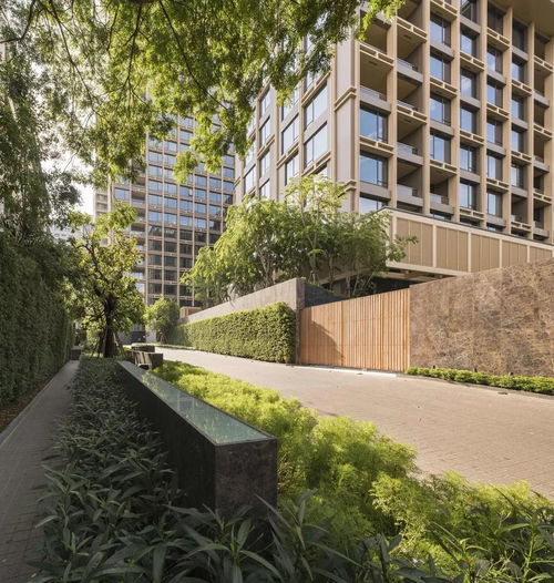 小区树木种类及分布