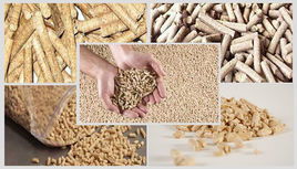 饲料铜对动物健康有哪些关键作用？