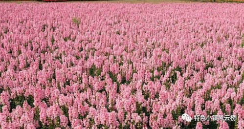 二、江苏宿迁市沭阳县