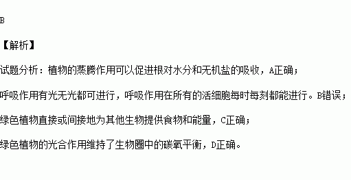 碳氧平衡是植物什么生理功能？维持生命活动不可或缺吗