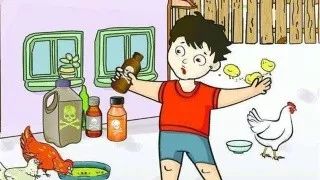 回忆与反思：农药的教训