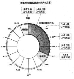 芦草从发芽到枯萎，其生命周期中各个阶段大约需要多长时间