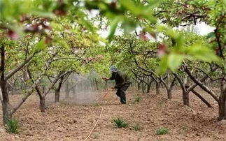 补救措施，赶紧来学！