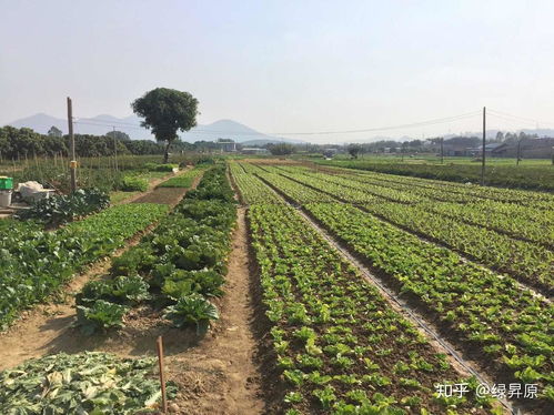 有害农药的危害