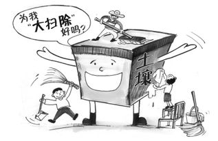 盆栽土壤湿度，植物健康的秘密武器