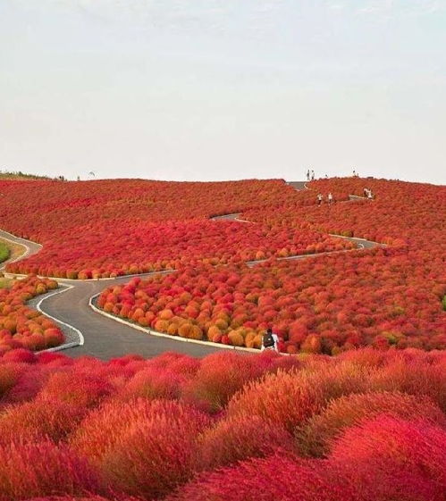 温差与土壤的较量