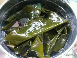 海带还是裙带？傻傻分不清楚