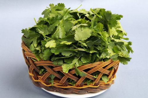 吃香菜和长斑有关系吗？皮肤斑点真的会因香菜而加重吗