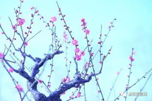 拍摄技巧，让你拍出大片效果