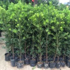 购买指南，你值得拥有