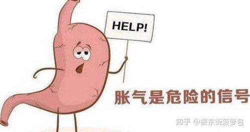 猪肚子胀气，如何快速缓解症状