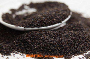 车前子增产秘诀， 揭秘3个黄金时段