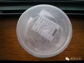 酸奶机催芽，路由器也来帮忙