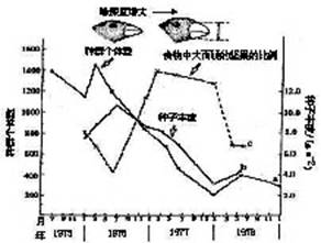 时间的不同度量