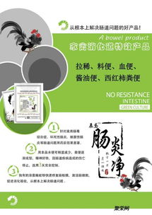 肠炎肠毒症：病原感染与饲料因素