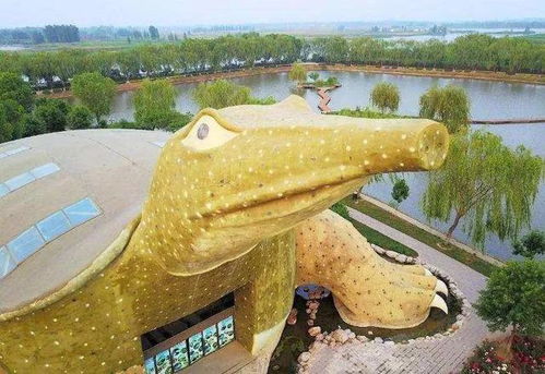 名字如水， 寓意深远