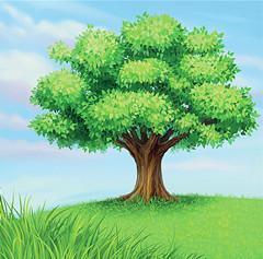 移栽过程中的注意事项