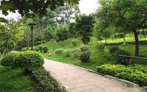 个人专业嫩力提升：不断学习新知