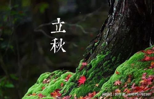 立秋种植，这些蔬菜Zui受欢迎