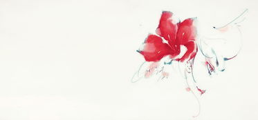 彼岸花，惊艳家里的神秘之花