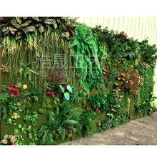 绿植墙的费用揭秘，你真的了解吗？