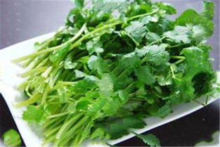 香菜：香喷喷的调味佳品