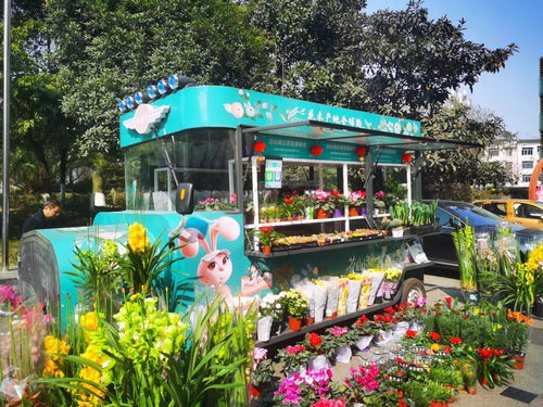 寻找花车的线索