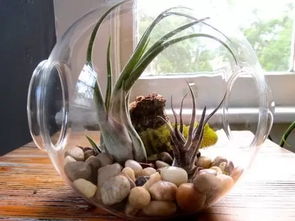 三指检测法， 教你辨土好坏