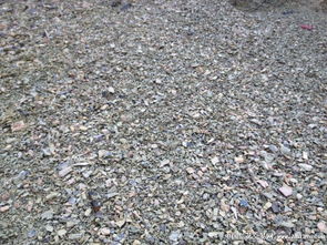 风化石， 这个名字听起来有点酷